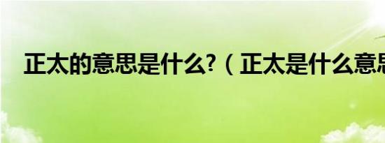 正太的意思是什么?（正太是什么意思呀）