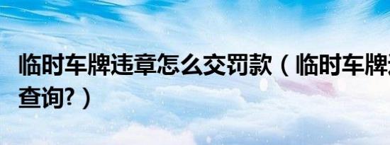 临时车牌违章怎么交罚款（临时车牌违章怎么查询?）