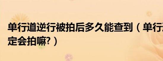 单行道逆行被拍后多久能查到（单行道逆行一定会拍嘛?）