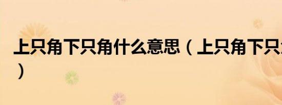 上只角下只角什么意思（上只角下只角哪些区）
