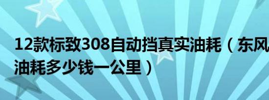12款标致308自动挡真实油耗（东风标致308油耗多少钱一公里）