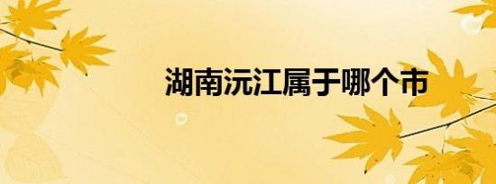 湖南沅江属于哪个市