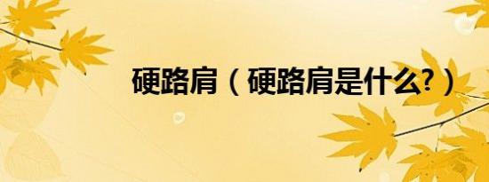 硬路肩（硬路肩是什么?）