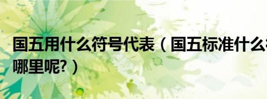 国五用什么符号代表（国五标准什么符号写在哪里呢?）