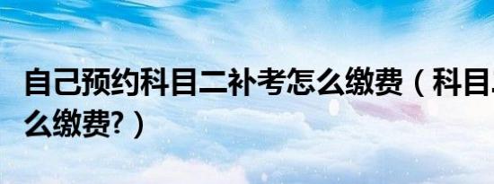 自己预约科目二补考怎么缴费（科目二补考怎么缴费?）