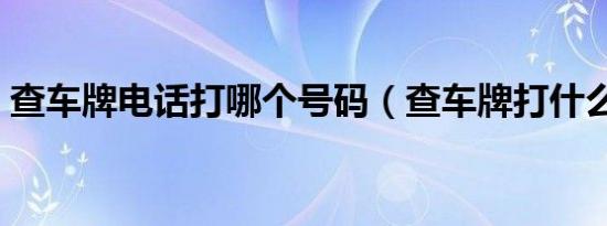 查车牌电话打哪个号码（查车牌打什么电话）