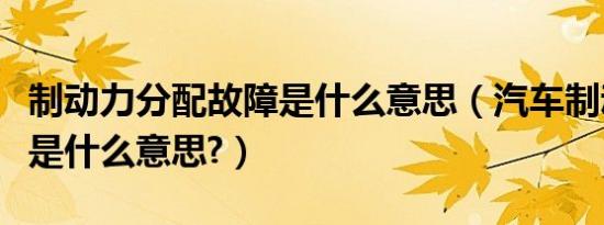 制动力分配故障是什么意思（汽车制动力分配是什么意思?）