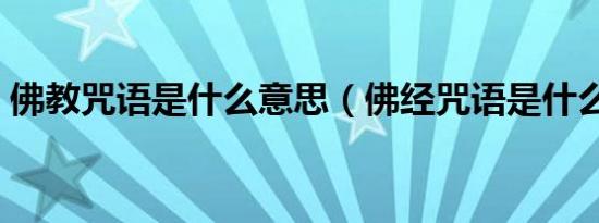 佛教咒语是什么意思（佛经咒语是什么意思）