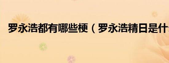 罗永浩都有哪些梗（罗永浩精日是什么梗）