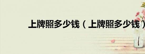 上牌照多少钱（上牌照多少钱）