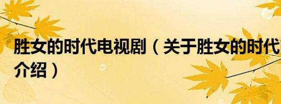 胜女的时代电视剧（关于胜女的时代电视剧的介绍）