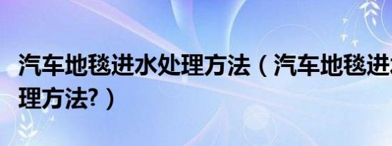 汽车地毯进水处理方法（汽车地毯进水怎么处理方法?）
