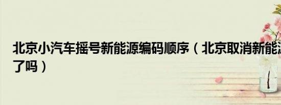 北京小汽车摇号新能源编码顺序（北京取消新能源汽车摇号了吗）