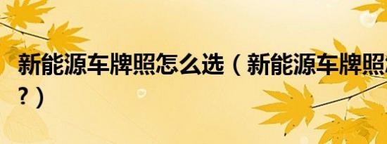 新能源车牌照怎么选（新能源车牌照怎么办理?）