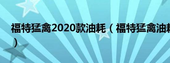 福特猛禽2020款油耗（福特猛禽油耗是多少）