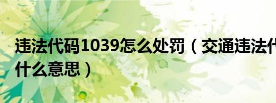 违法代码1039怎么处罚（交通违法代码1039什么意思）