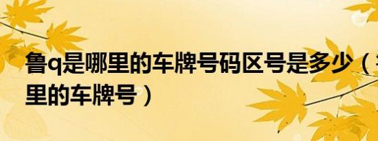 鲁q是哪里的车牌号码区号是多少（鲁q是哪里的车牌号）