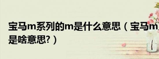 宝马m系列的m是什么意思（宝马m系列的m是啥意思?）