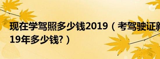 现在学驾照多少钱2019（考驾驶证新规定2019年多少钱?）