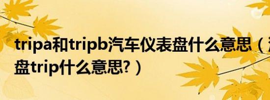 tripa和tripb汽车仪表盘什么意思（汽车仪表盘trip什么意思?）