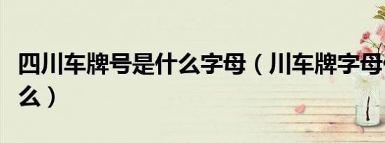 四川车牌号是什么字母（川车牌字母代号是什么）