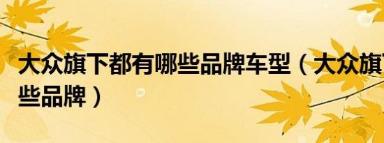 大众旗下都有哪些品牌车型（大众旗下都有哪些品牌）