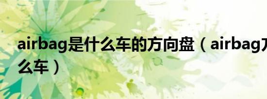 airbag是什么车的方向盘（airbag方向盘什么车）
