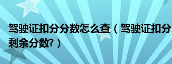 驾驶证扣分分数怎么查（驾驶证扣分怎么查询剩余分数?）