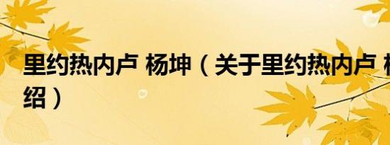 里约热内卢 杨坤（关于里约热内卢 杨坤的介绍）