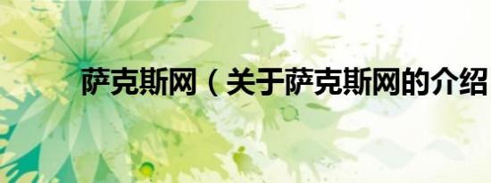 萨克斯网（关于萨克斯网的介绍）