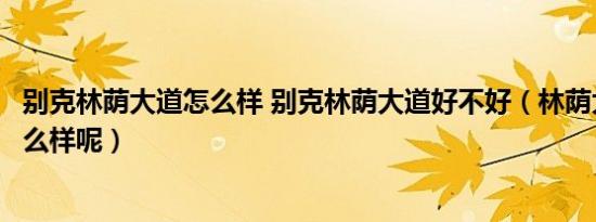 别克林荫大道怎么样 别克林荫大道好不好（林荫大道别克怎么样呢）