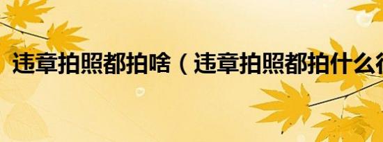 违章拍照都拍啥（违章拍照都拍什么行为?）