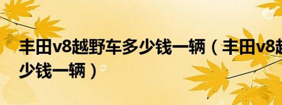 丰田v8越野车多少钱一辆（丰田v8越野车多少钱一辆）