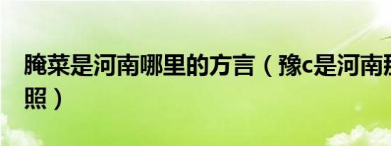 腌菜是河南哪里的方言（豫c是河南那里的牌照）