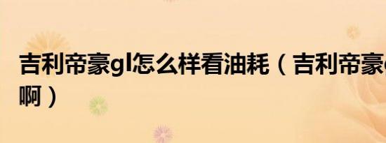 吉利帝豪gl怎么样看油耗（吉利帝豪gl怎么样啊）