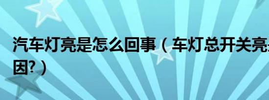 汽车灯亮是怎么回事（车灯总开关亮是什么原因?）