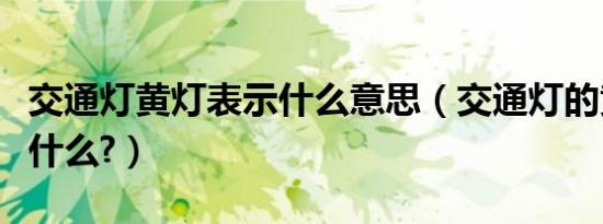 交通灯黄灯表示什么意思（交通灯的黄灯表示什么?）