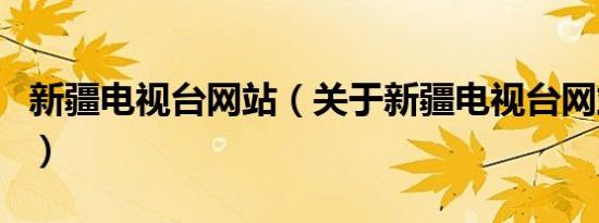 新疆电视台网站（关于新疆电视台网站的介绍）
