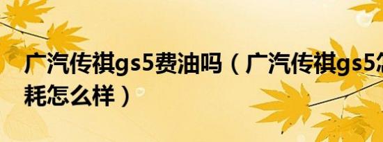 广汽传祺gs5费油吗（广汽传祺gs5怎么样油耗怎么样）