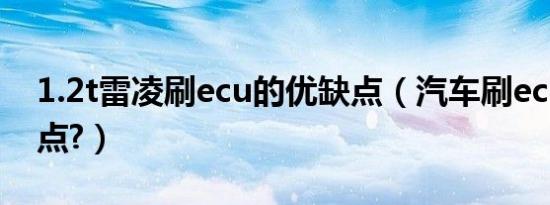 1.2t雷凌刷ecu的优缺点（汽车刷ecu的优缺点?）