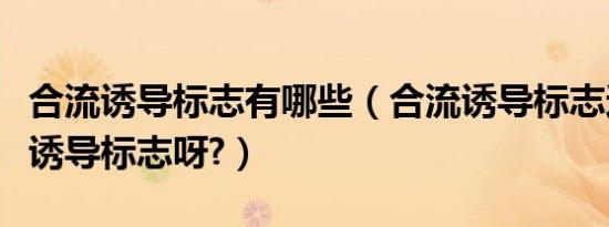 合流诱导标志有哪些（合流诱导标志还是线形诱导标志呀?）