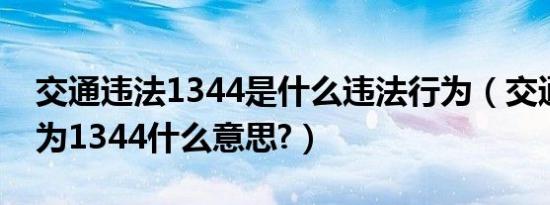交通违法1344是什么违法行为（交通违法行为1344什么意思?）