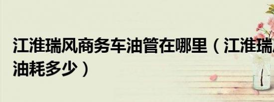 江淮瑞风商务车油管在哪里（江淮瑞风商务车油耗多少）