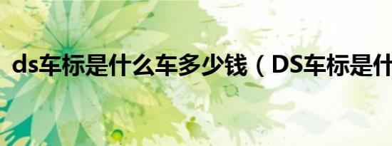 ds车标是什么车多少钱（DS车标是什么车）