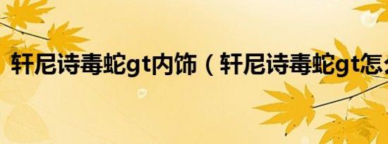 轩尼诗毒蛇gt内饰（轩尼诗毒蛇gt怎么买?）