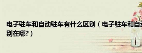 电子驻车和自动驻车有什么区别（电子驻车和自动驻车的区别在哪?）