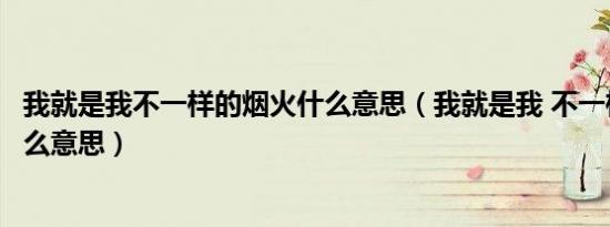 我就是我不一样的烟火什么意思（我就是我 不一样的烟火什么意思）