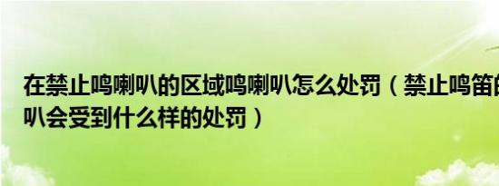 在禁止鸣喇叭的区域鸣喇叭怎么处罚（禁止鸣笛的地方鸣喇叭会受到什么样的处罚）