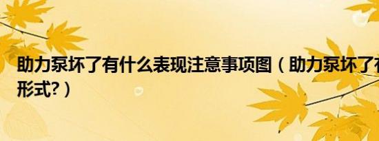 助力泵坏了有什么表现注意事项图（助力泵坏了有什么表现形式?）