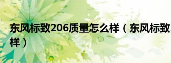 东风标致206质量怎么样（东风标致206怎么样）